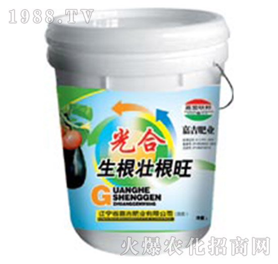 ��������Ѹ���-�μ�