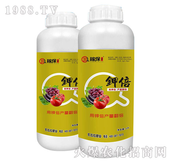 ⛱�-�ڱ�����-�{�����H