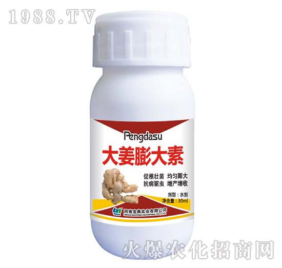 �������-���䌍�I(y��)