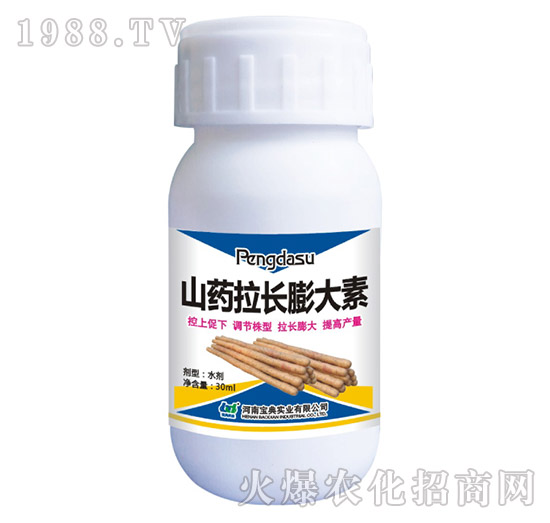 ɽˎ���L�����-���䌍(sh��)�I(y��)