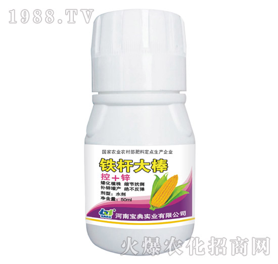 �F�U���-���䌍(sh��)�I(y��)