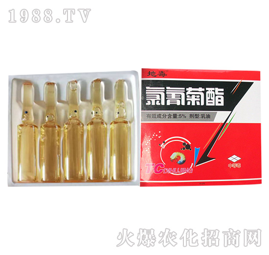 5%������������Q�ػ���-�����r(n��ng)�I(y��)