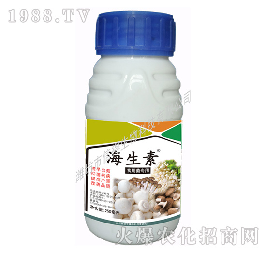 ʳ�þ�����-������-�ŵ�