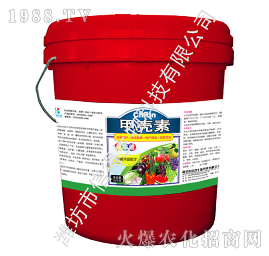 ����s�ך���-�ŵ�