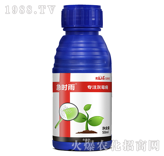 ��ù�����Ú�����-���r(sh��)��-�к���(r��n)��