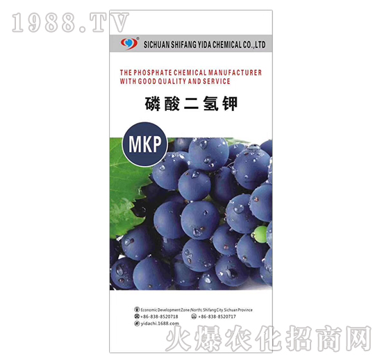 ��������-�����_