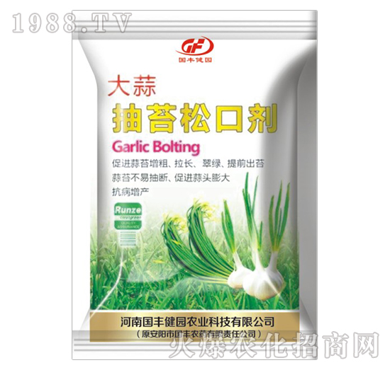 �����̦�ɿڄ�-���S���@