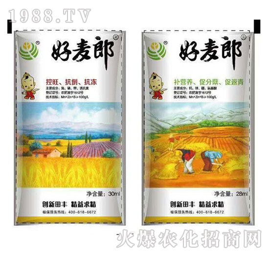 С����(zhu��n)���~���-������-���S����