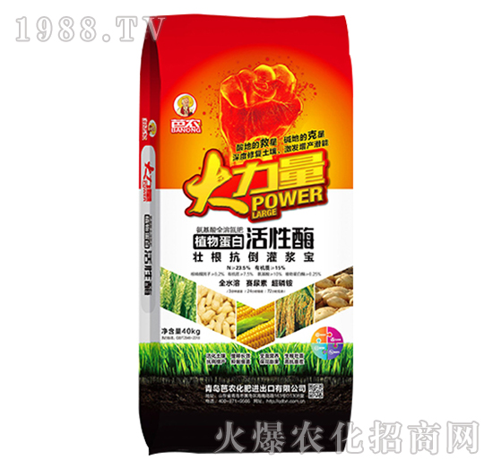 ֲ�ﵰ�׻���ø-������-�W�S�ʘI(y��)