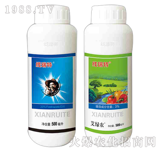 ������-����