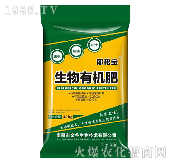 �����ЙC��-���Ɍ�-�������