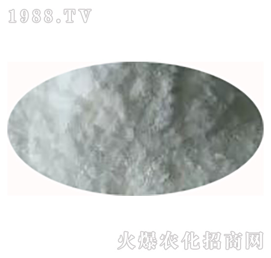 �̻��S-�����S