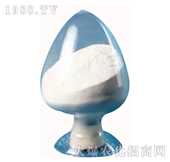 ����T��(d��o)��-�����S