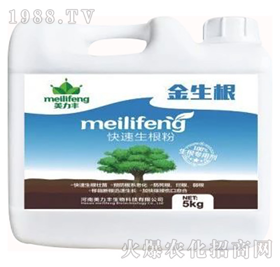 ����������-������-�����S