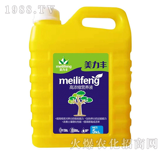 �ߝ�s�I�B(y��ng)Һ-�����S