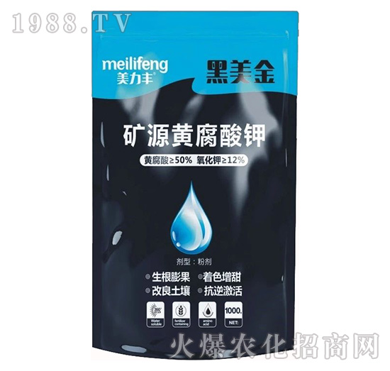 �VԴ�S�����-������-�����S