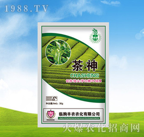 ����-�S�r�r��