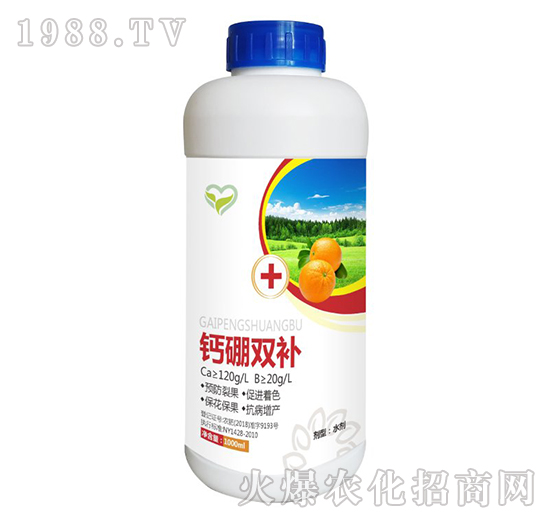 �}��ͬ�a(b��)-����t