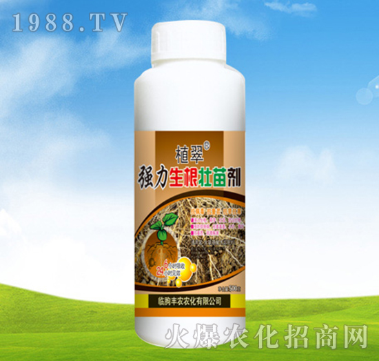 �����������焩-ֲ��-�S�r(n��ng)�r(n��ng)��