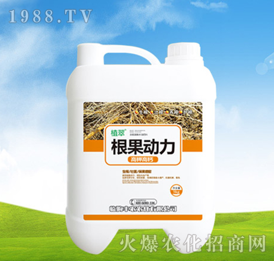 5kg������(d��ng)��-ֲ��-�S�r(n��ng)�r(n��ng)��