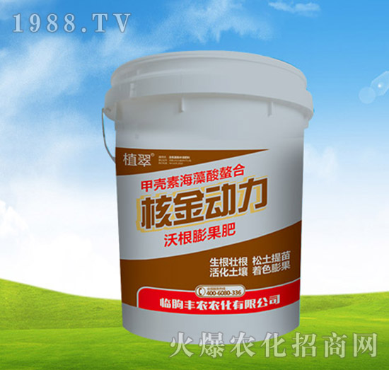 �ָ������-�˽�����-�S�r�r��