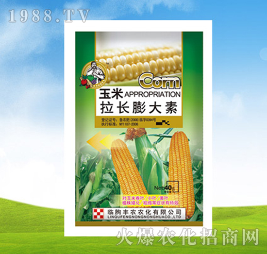 �������L(zh��ng)�����-�S�r(n��ng)�r(n��ng)��