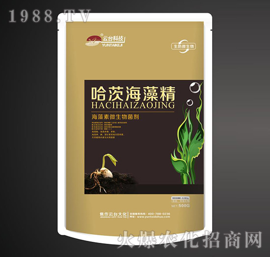 ������΢�������-���ĺ��徫-���_��