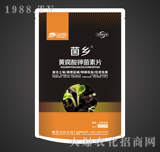 �S����⛾���Ƭ-���l(xi��ng)-���_��