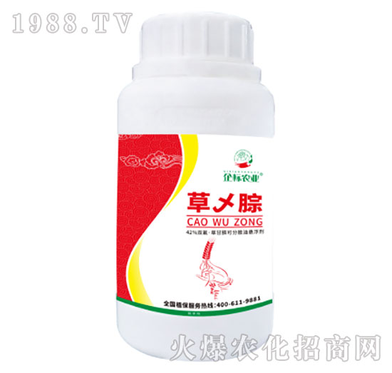 �݁W��-���(bi��o)