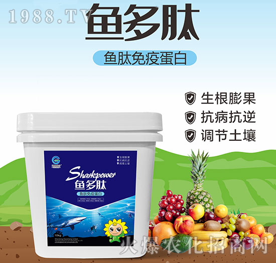 �~�����ߵ���-�~����-����(li��n)��