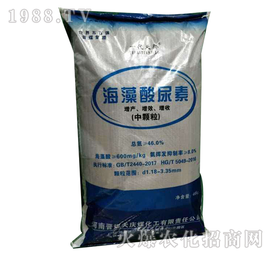 ����������-�ӻ�����