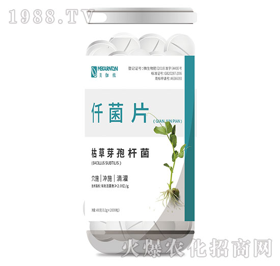 �ݲ�ѿ�ߗU��-Ǫ��Ƭ-��٤�z