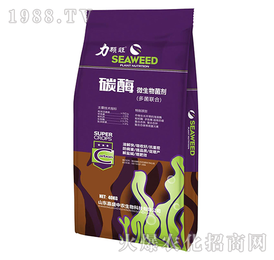 ̼ø΢�������-������-��ʢ���r