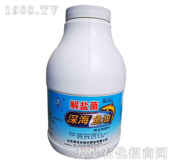 ���}����~(y��)��΢�������-���S�ʘI(y��)