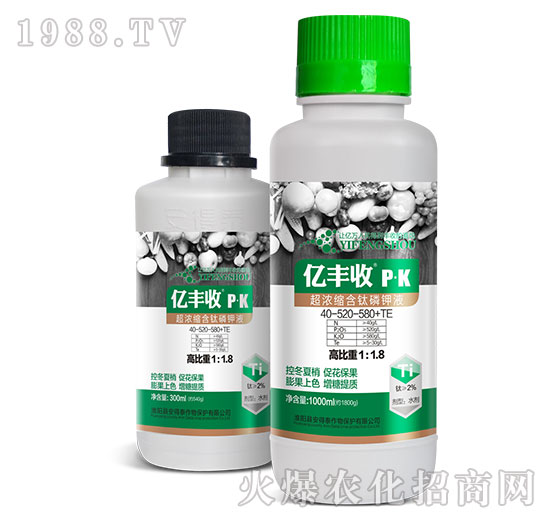 ����s������Һ10-520-582+TE-�|�S��-����̩