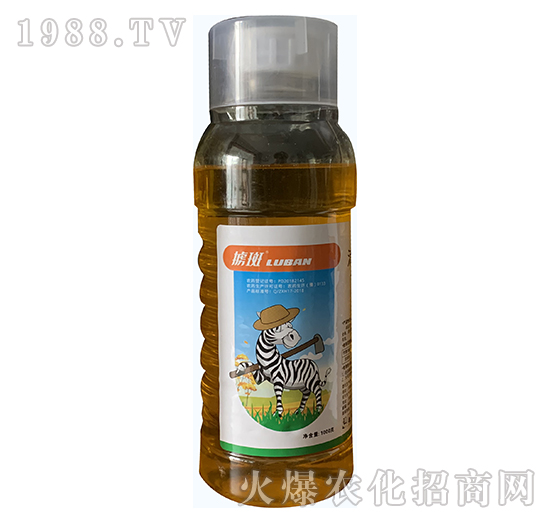 32.4%���ᡤ�ݸ��-���-�й���