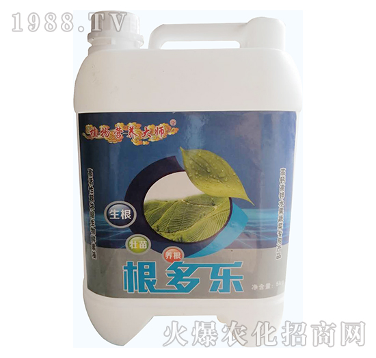 ������(l��)-���W����