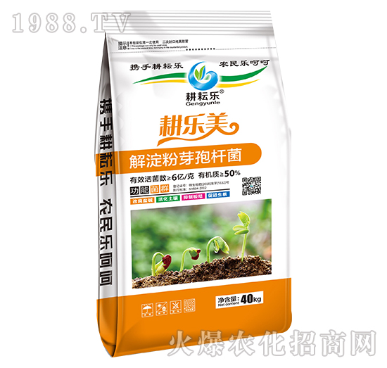 �����ѿ�ߗU��-������-���Ř�