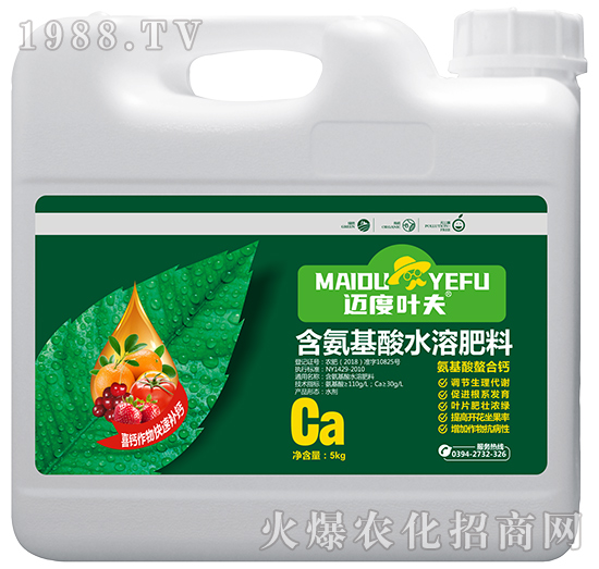 �����������}-�~���~��