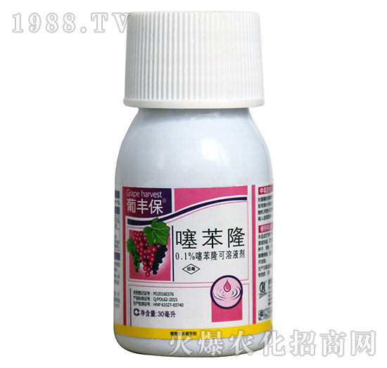 �籽¡-���S��-�G�D����