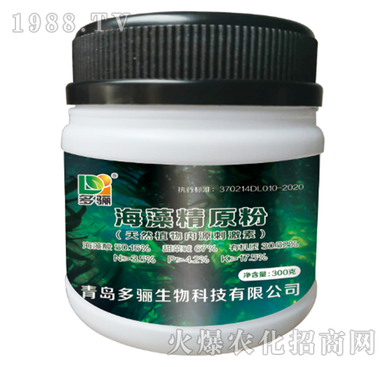 ���徫ԭ��-���P����