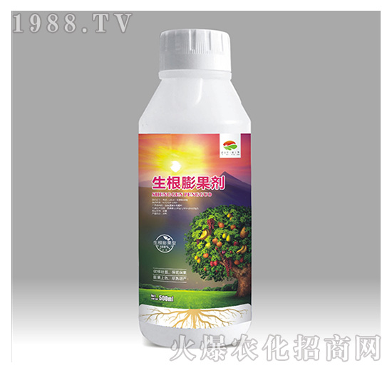 ���������-��������