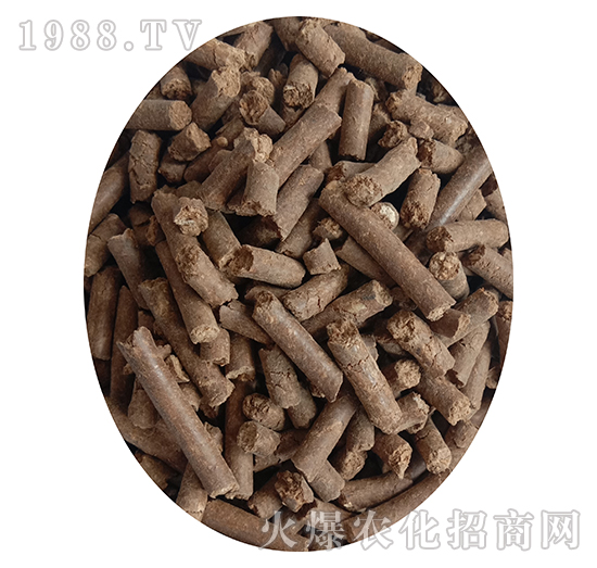 ʮ�|���������--�r(n��ng)��n-���SԴ