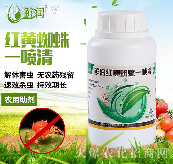 �t�S֩��һ����-�r(n��ng)������