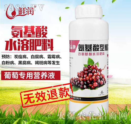 ���ь�(zhu��n)��-�r��(r��n)Ʒ�ư�������ֲ��I(y��ng)�B(y��ng)Һ-�r(n��ng)������