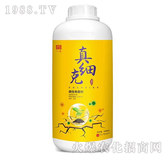 ΢�������-�漚��-һ�t����