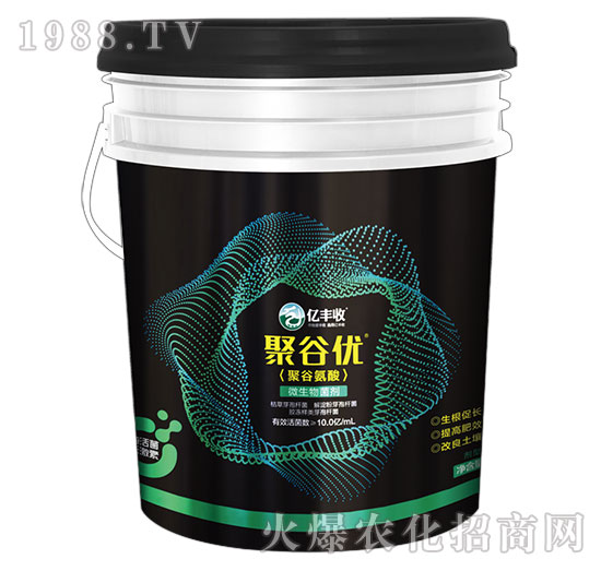 ΢�������-�۹ȃ�(y��u)-�|�S��-����̩