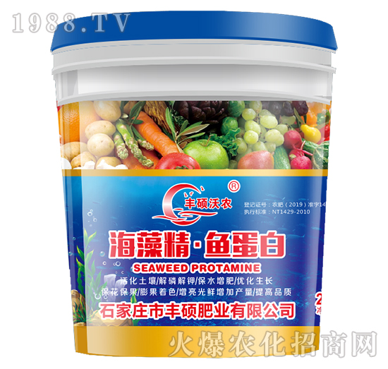 ���徫���~����-�S�T�ʘI(y��)