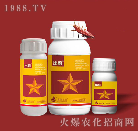 ���E-����֮��