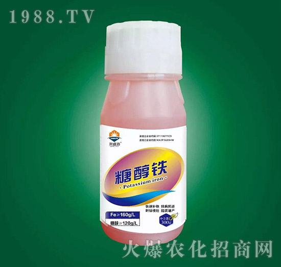 �Ǵ��F-�W�ʩ